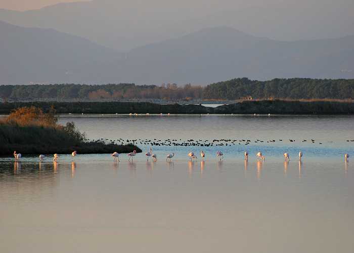 Λίμνη Βιστωνίδα