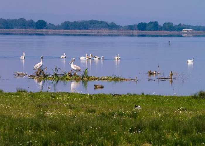 Λίμνη Βόλβη