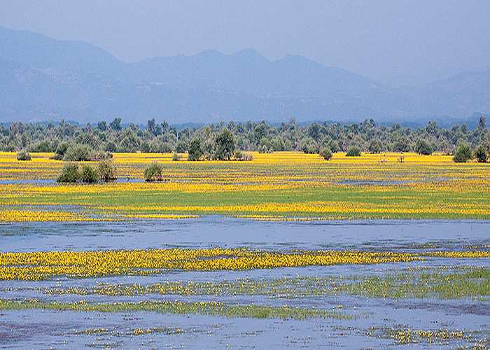 Τεχνητή λίμνη Κερκίνη